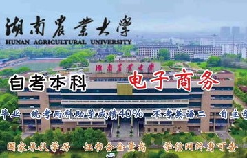湖南省电子商务专业考公