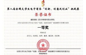 四川电子商务专业的本科