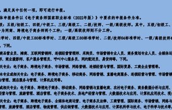 电子商务师专业技能试题