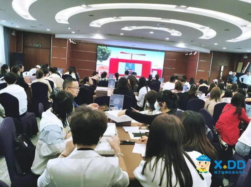 潘展乐200自金牌闪耀泳池，孙杨第八名完美收官