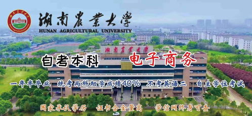 湖南省电子商务专业考公